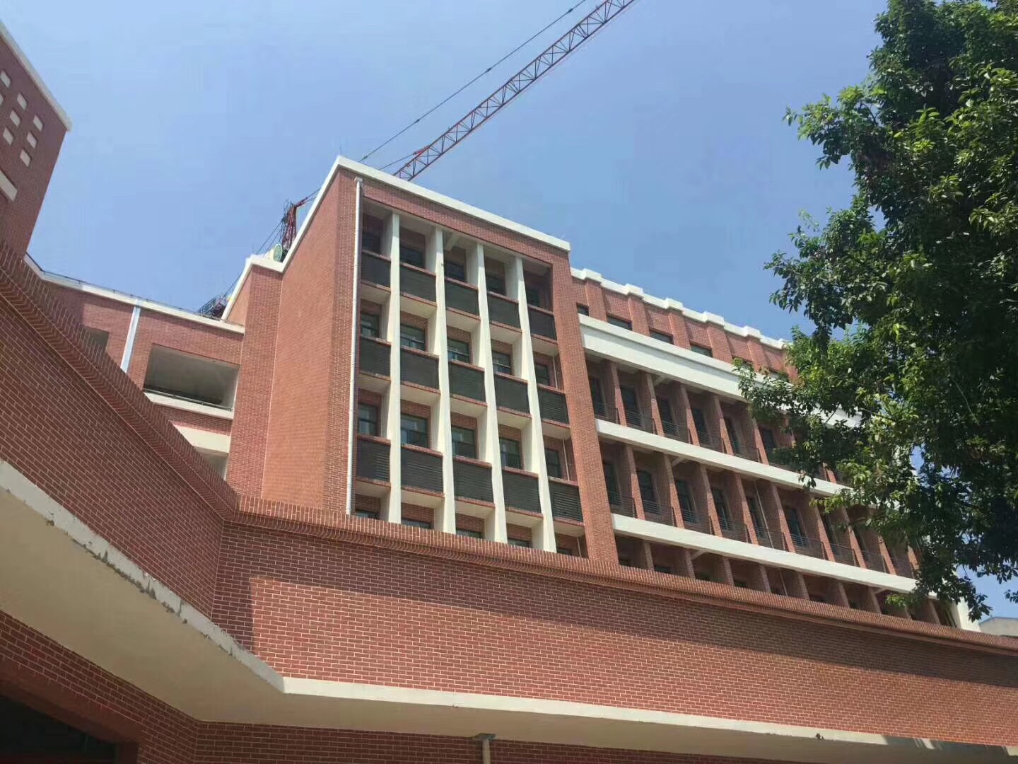 重慶石坪橋小學.jpg